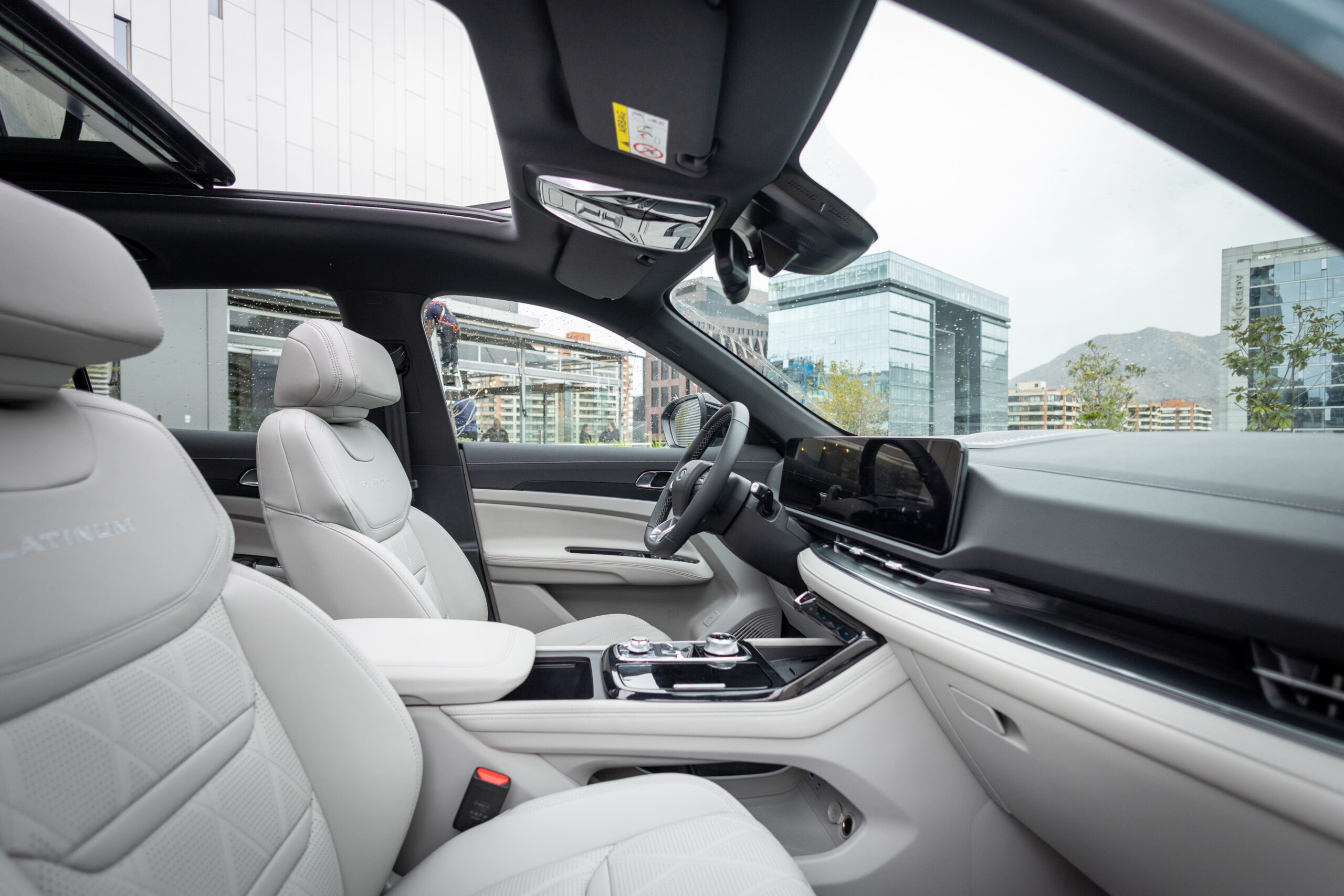 Interior Platinum